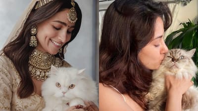 Bollywood Pets