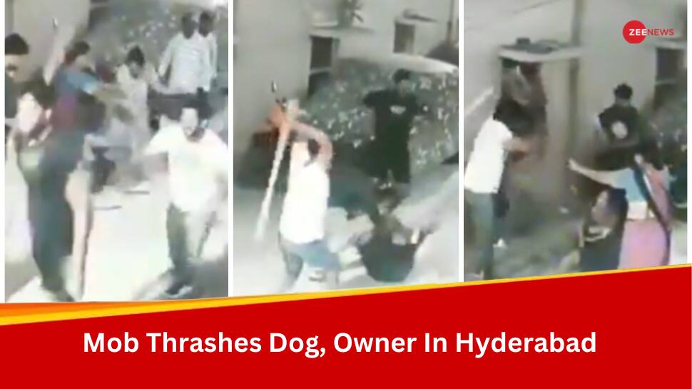 WATCH: Dog Menace Turns Violent, Group Of Men Thrash Owner And Dog With Sticks – Full Story