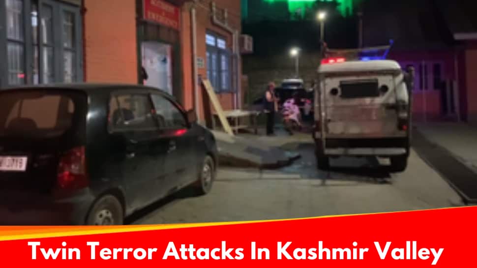 Twin Terror Attacks Hit J&amp;K: Tourist Couple Shot, Ex-Sarpanch Killed Ahead Of Lok Sabha Elections
