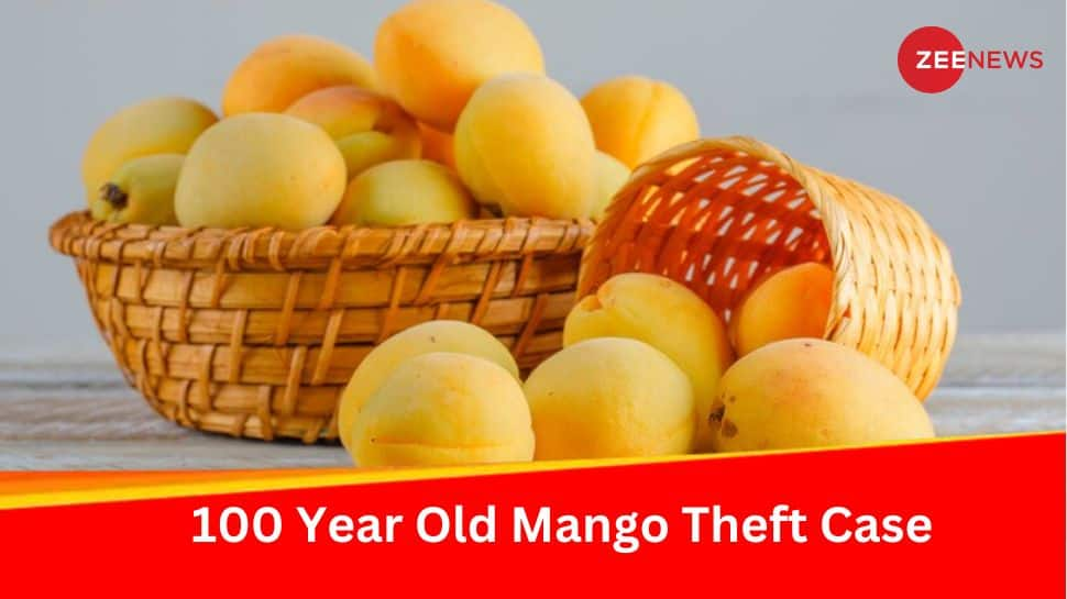 What Was Punishment For Mango Theft In India 100 Years Ago? Verdict Copy Found