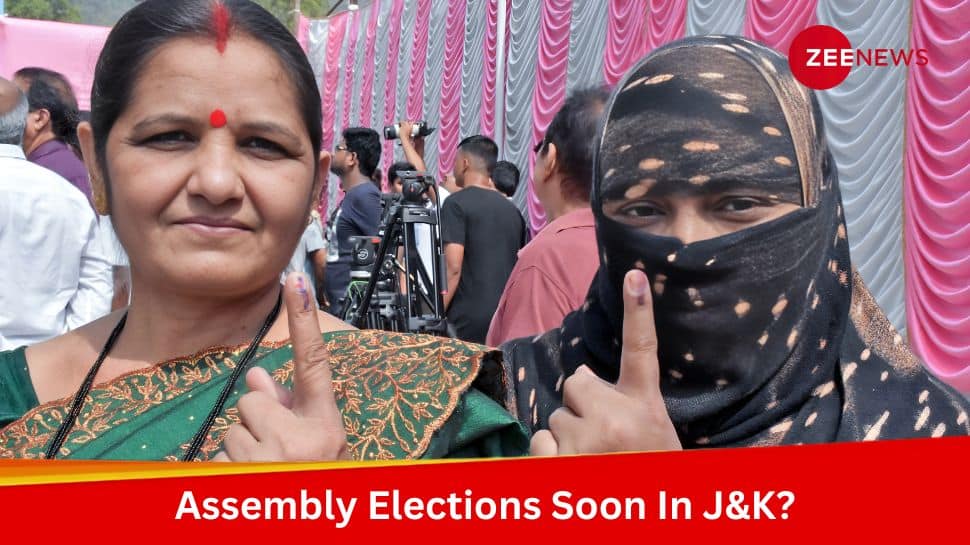 Assembly Elections Soon In J&amp;K? EC Drops BIG HINT After Mega Turnout