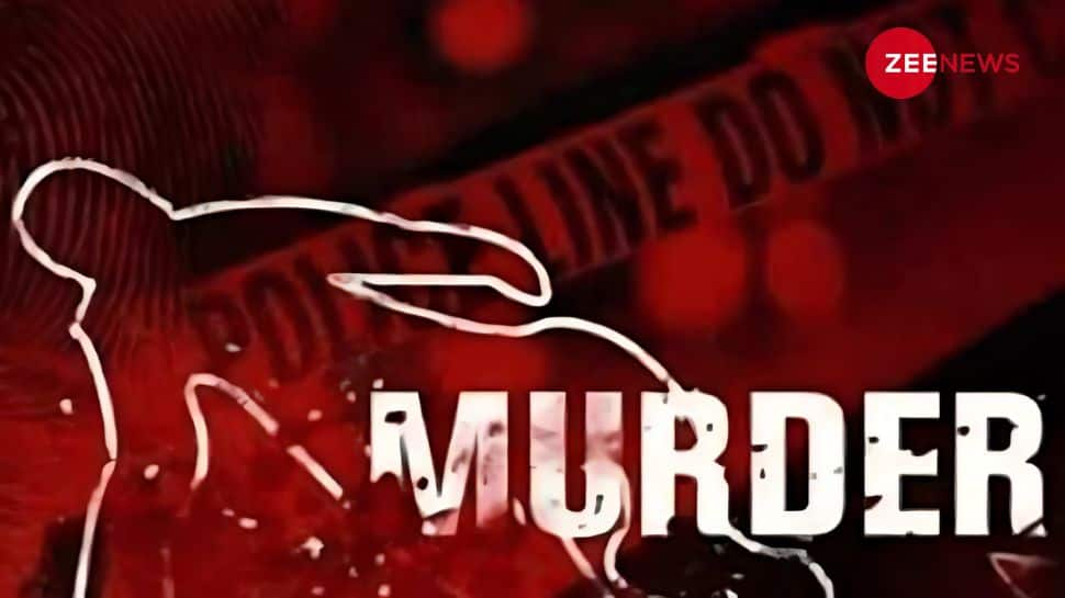 Madhya Pradesh Mass Murder: Axe-Wielding Man Kills Eight Family Members; Takes Own Life In Chhindwara