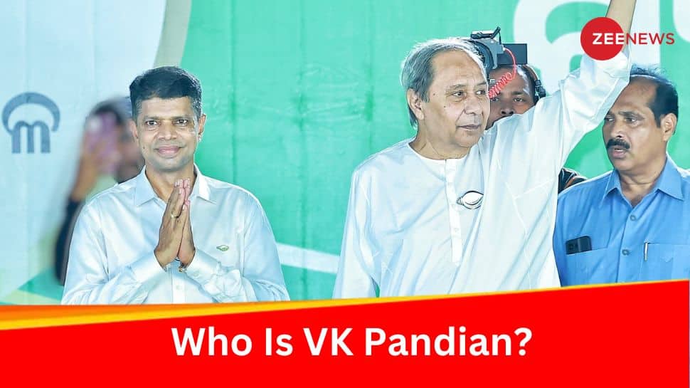 Who Is VK Pandian? Tamilian Man At Centre Of Power Tussle In Odisha