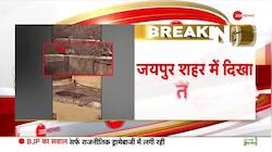 Leopard spotted in Rajasthan's Jaipur 
