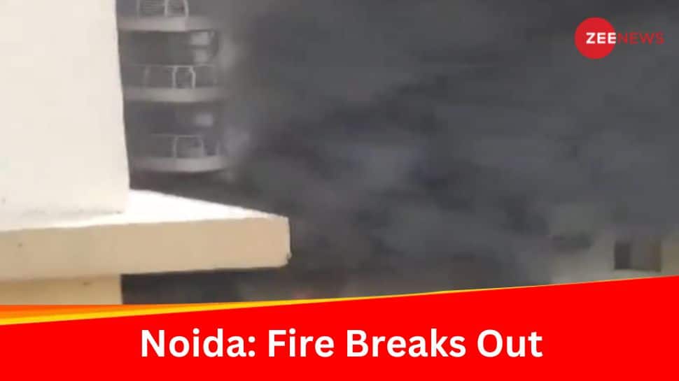 Watch: Fire Breaks Out At Flat In Noida&#039;s Sector 100 Society 