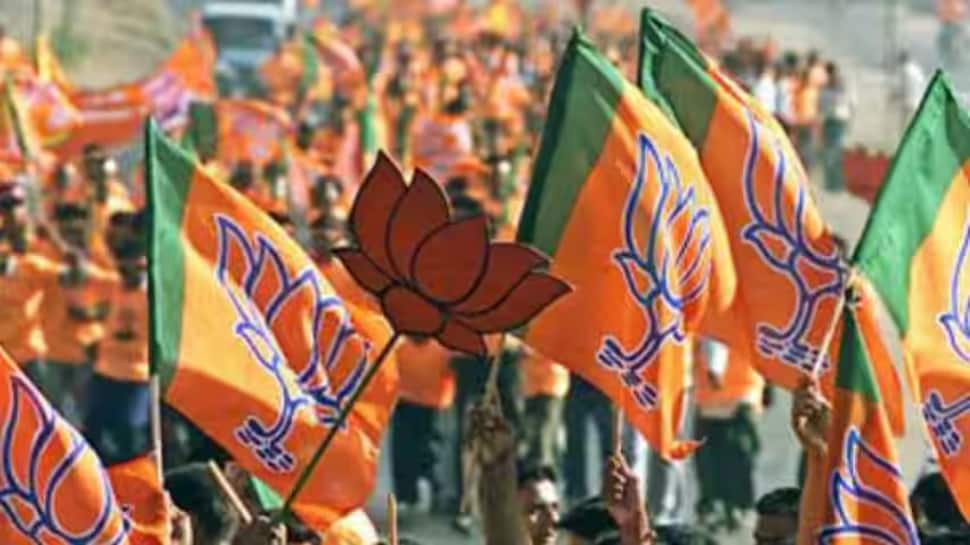 FIR Against BJP Leaders For Singing &#039;PM Modi&#039;s Bhajans&#039; At Temple In Himachal&#039;s Solan