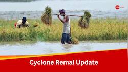 Cyclone Remal: Assam Flood Situation Worsens, 3.5 Lakh People Affected