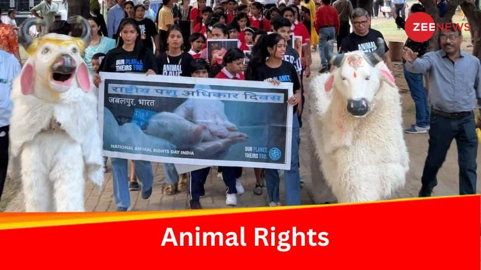 NARD 2024: 14th National Animal Rights Day Observed In India