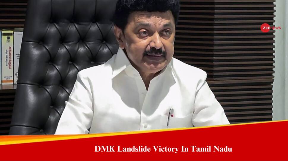 Tamil Nadu Lok Sabha Election Result 2024: DMK And Allies Poised For Landslide Victory In Tamil Nadu, BJP Fails To Open Account