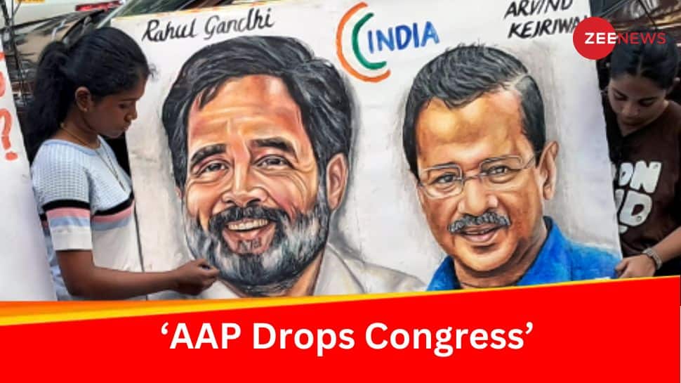 After Failed Lok Sabha Bid, AAP Dumps Congress For Delhi Assembly Polls