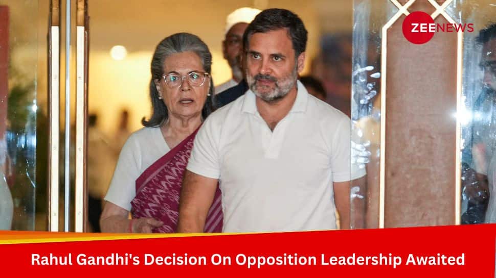 Rahul Gandhi&#039;s Decision On Opposition Leadership Awaited After CWC&#039;s Unanimous Request