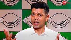 Pandian Withdraws From Active Politics, Says 'Sorry If Campaign Narrative...'