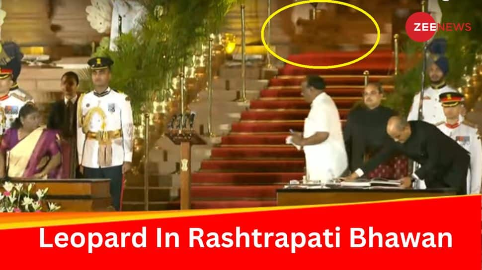 Watch: Leopard Or Cat? Video Of Wild Animal Taking Stroll Behind PM Modi During Swearing-In Event In Rashtrapati Bhawan Goes Viral