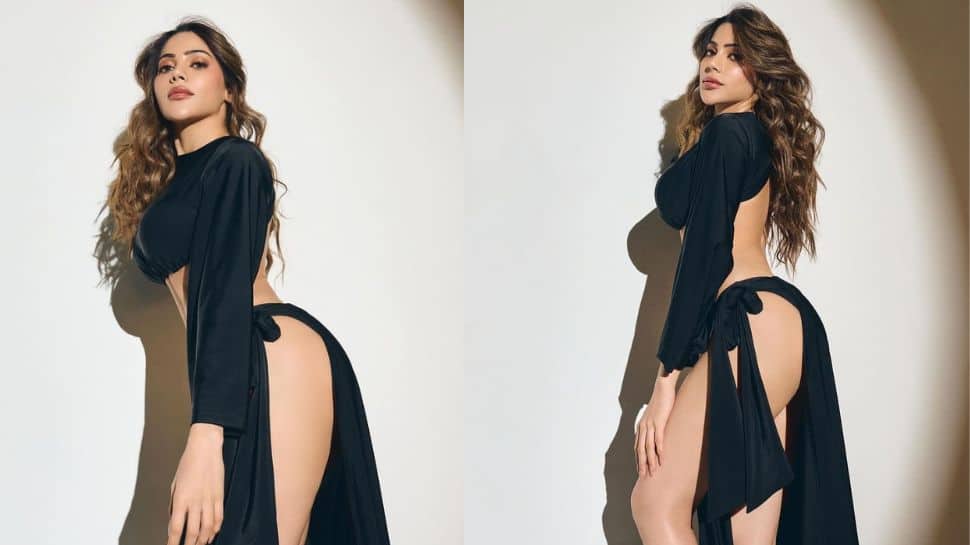 Viral Look: Nikki Tamboli Turns Heads in a Backless Top and Skirt, Check Pics!