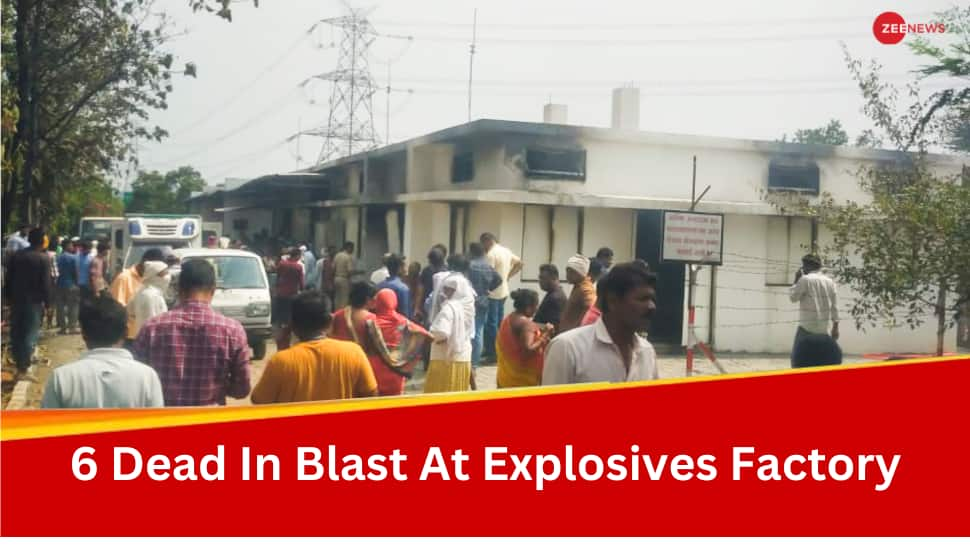 6 Dead, 3 Injured In Blast At Explosives Factory Near Nagpur  