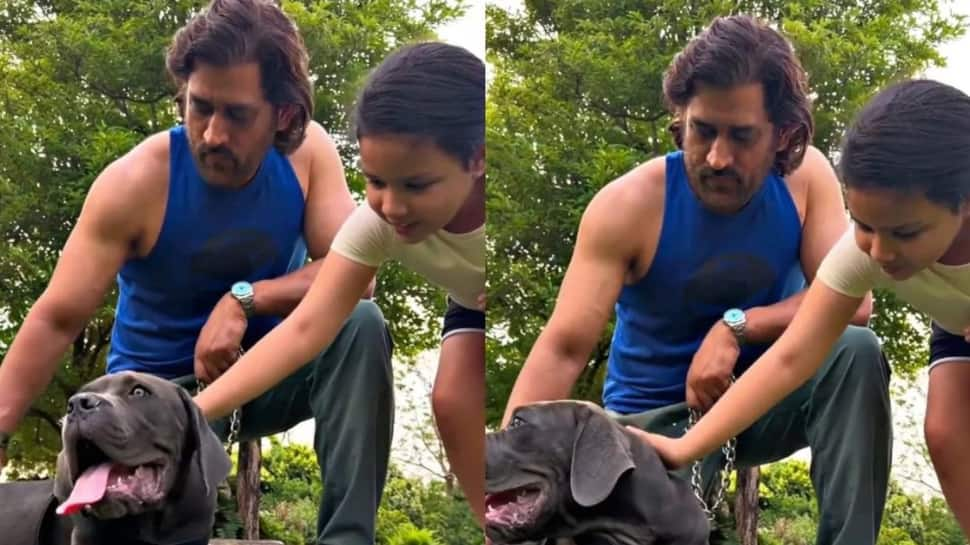 WATCH: Ziva Dhoni&#039;s Adorable Video For MS Dhoni On Father&#039;s Day Goes Viral