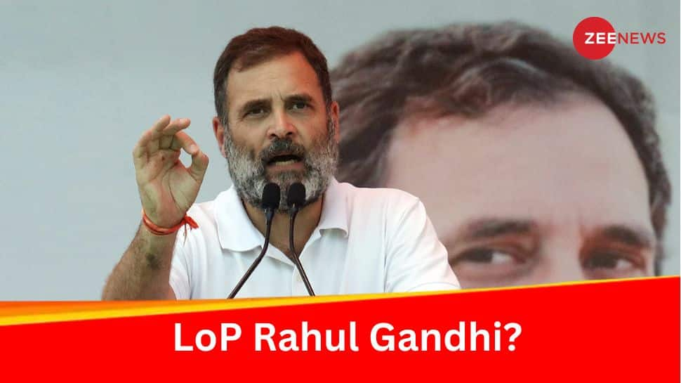 First Time Since 2014, Opposition To Get Leader In Lok Sabha But It May Not Be Rahul Gandhi