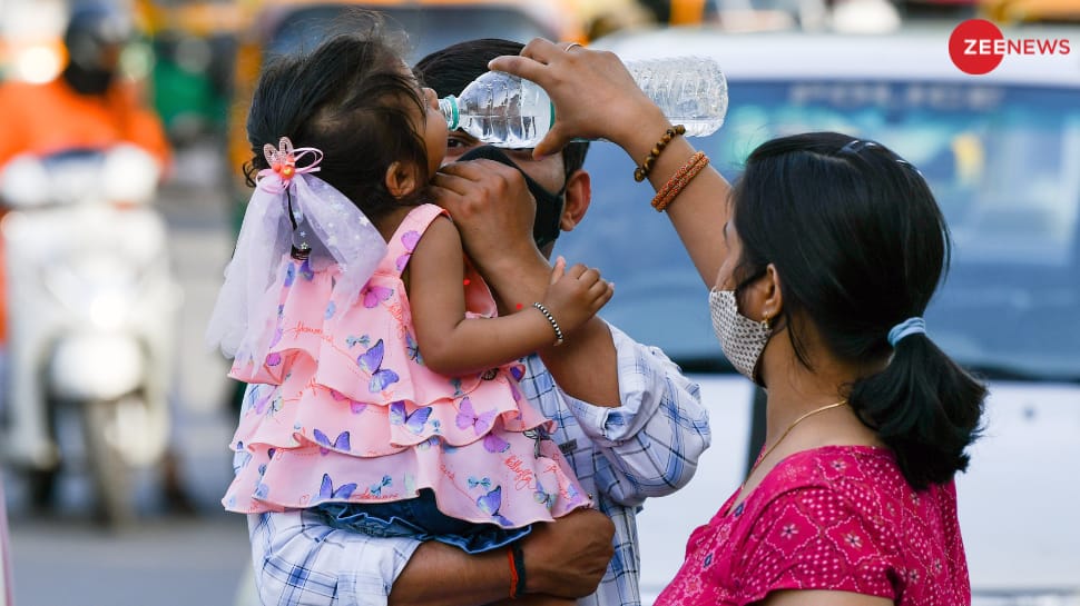 Delhi Heatwave Alert: Five Die Of Heatstroke Related Causes, Dozens Critical