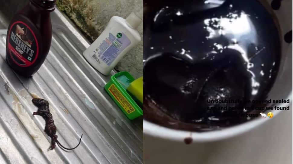  SHOCKING! Woman Finds &#039;Dead Mouse&#039; In Hershey’s Chocolate Syrup; Company Responds