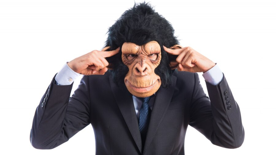 Calm Monkey Quiet Your Monkey Mind: 6 Ways To Calm Your Restless Thoughts