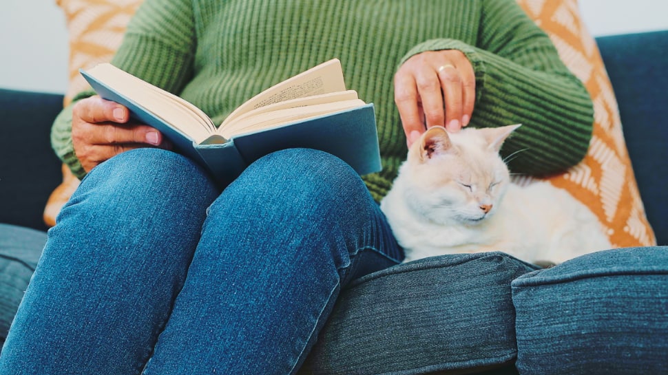 5 Must Read Books To Reduce Anxiety And Boost Your Mental Health