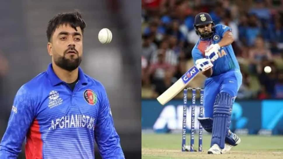 Rashid Khan And Rohit Sharma: Who Is More Famous? | Cricket News | Zee News