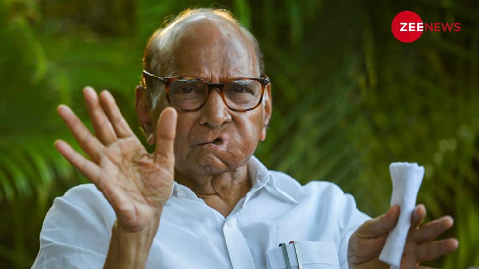 Speaker’s Political Comment Does Not Suit His ‘Stature’: NCP Chief Sharad Pawar 