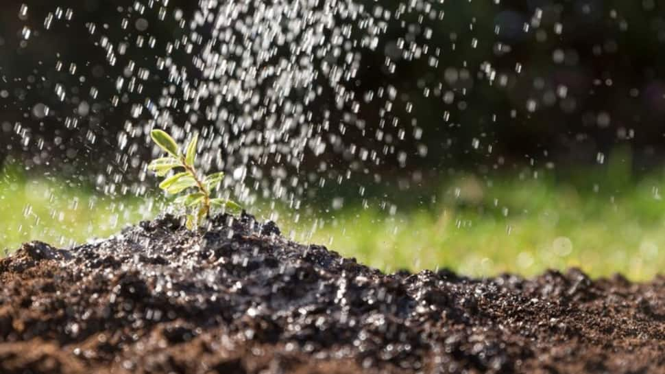 The Impact Of Monsoon On Agriculture 