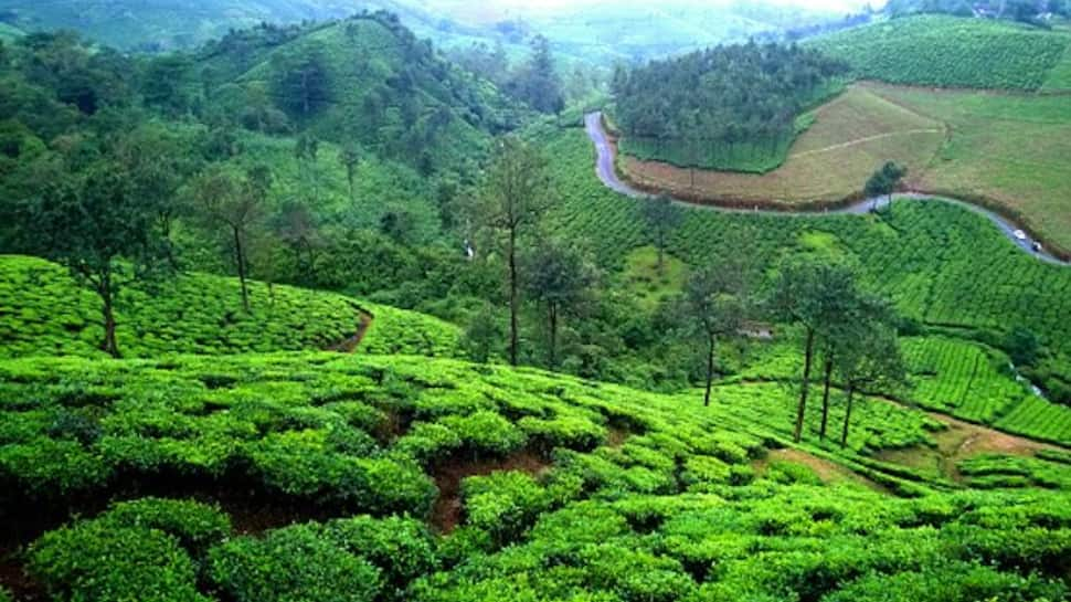 Vagamon