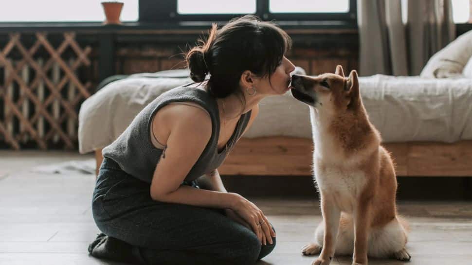Understanding Your Furry Friends: 6 Benefits Of Tracking Pets&#039; Activities