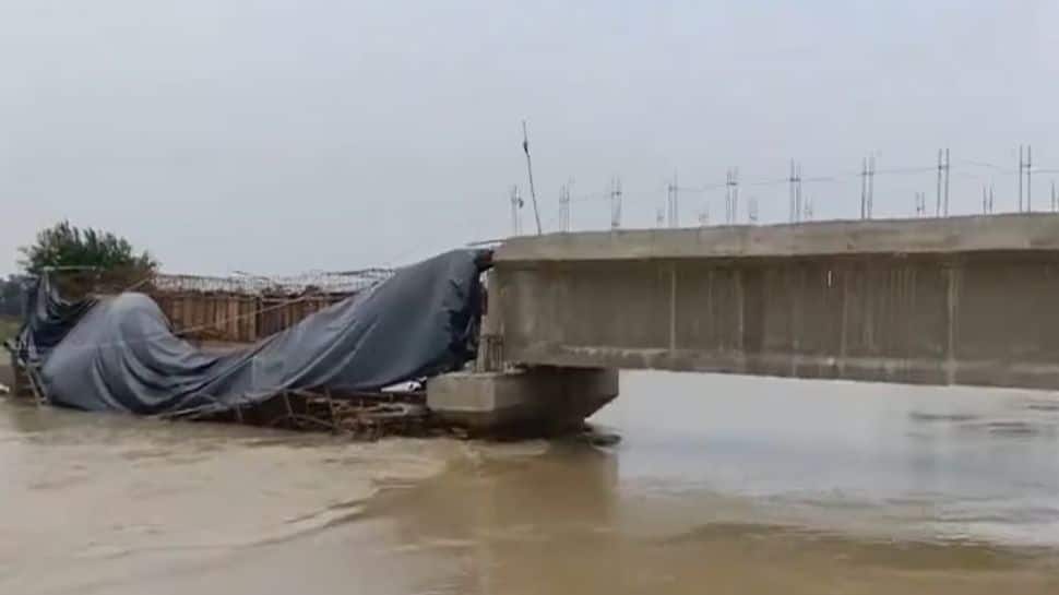 Bihar Govt To Investigate Recent Bridge Collapses; Forms High Level Committee: RWD Minister
