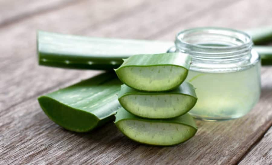 Aloe Vera: 