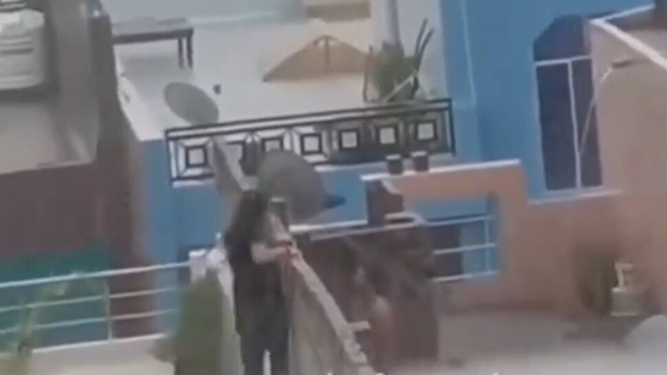 &#039;Barish Ka Sahi Istemal&#039;: Video Of Couple Romancing Secretly On Roof During Rain Goes Viral; Watch