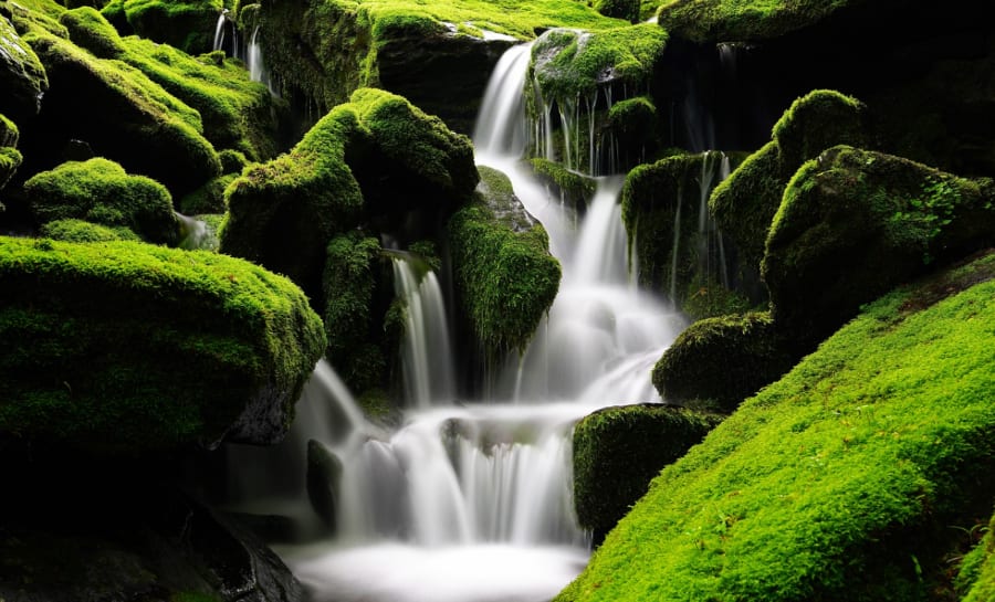 High Force, England: 