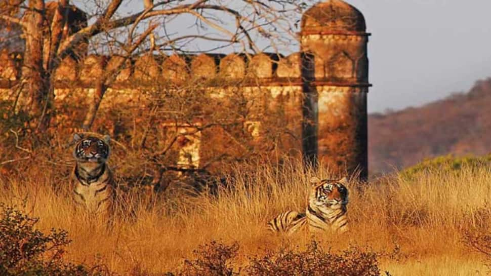 Ranthambore National Park