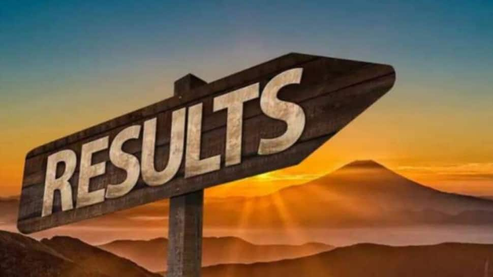 HSSC CET 2024 Group D Revised Result Declared At hssc.gov.in- Check Direct Link, Steps To Download Here