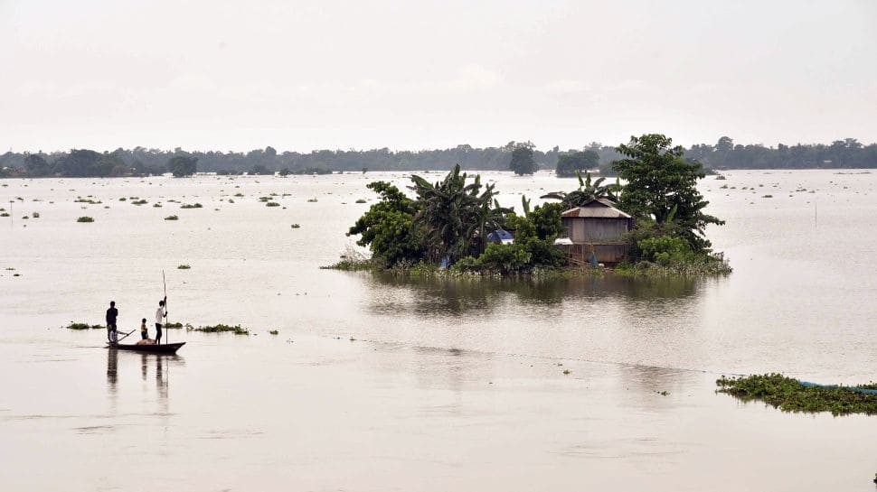 Assam Floods: 137 Wild Animals, Including 6 Rhinos Dead In Kaziranga National Park