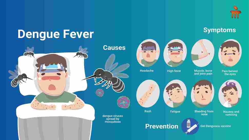Dengue: Effective Strategies Of Protection From Dengue Fever