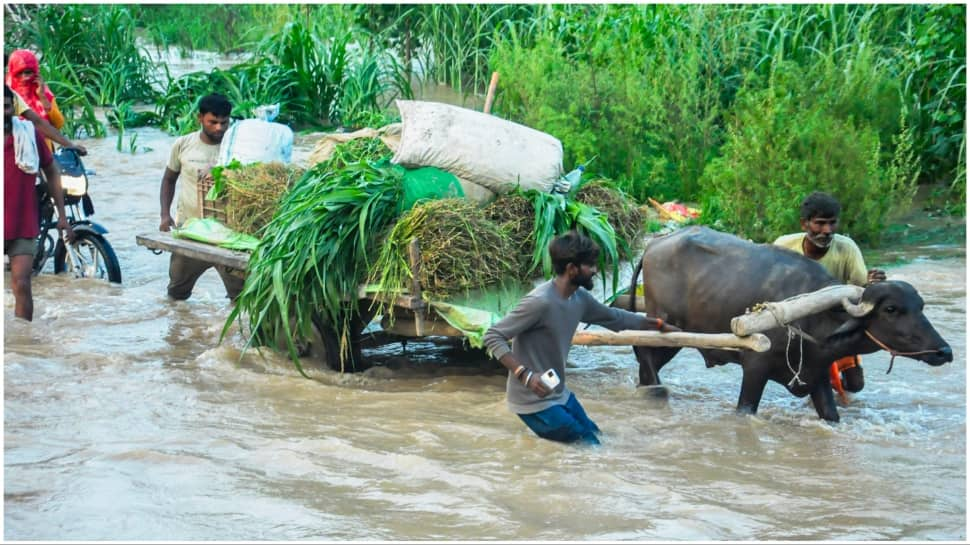 Moradabad, Uttar Pradesh 