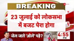 Union Budget 2024: What will change?