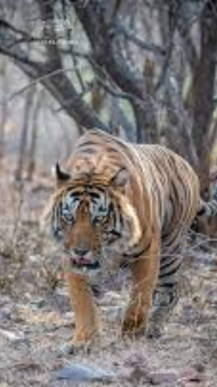 Aditya Panda