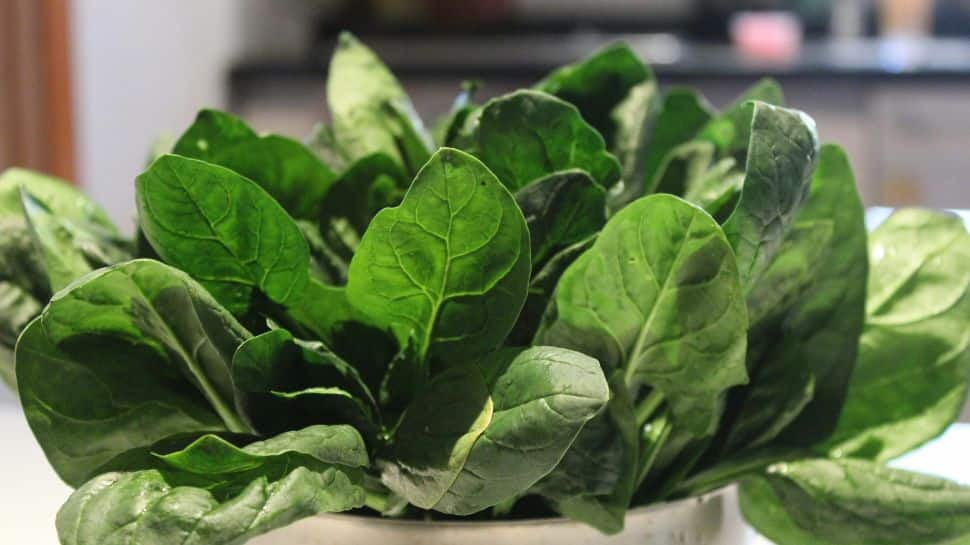 Fresh Spinach Day 2024: Significance, History &amp; Ways To Celebrate 