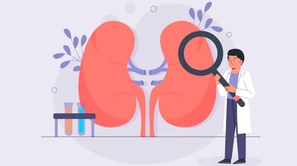 Guarding Your Health: Preventive Measures To Lower Kidney Cancer Risk | Health News