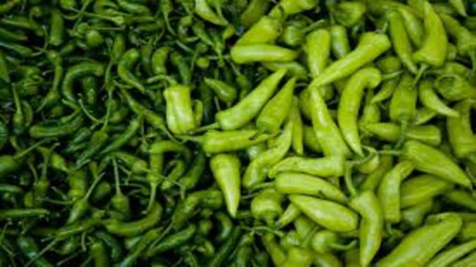 Eating Green Chillies Has Many Health Benefits And In Addition To The Heart, Healthy Digestion Is Maintained