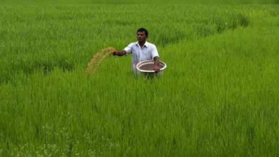 Union Budget 2024: Time To Further Modernise Agri Sector With Corporate Investments