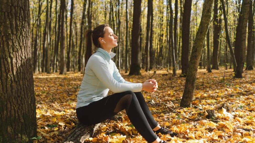 How Turning Daily Walk Can Boost Mindfulness Into Your Life 