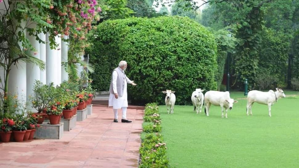 PM Modi's 7 Lok Kalyan Marg Vs Sonia Gandhi's 10 Janpath: Whose ...