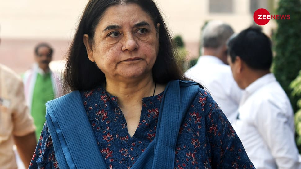 Maneka Gandhi Moves High Court Against Sultanpur MP&#039;s Election 