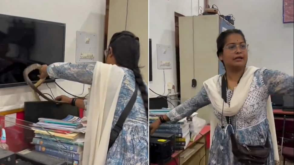 &#039;Brave&#039;: Woman Catches Snake With Ease; Viral Video Impresses Netizens