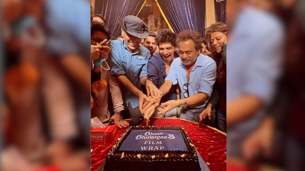 Bhool Bhulaiyaa 3 Shoot Concludes: Kartik Aaryan Thanks Team